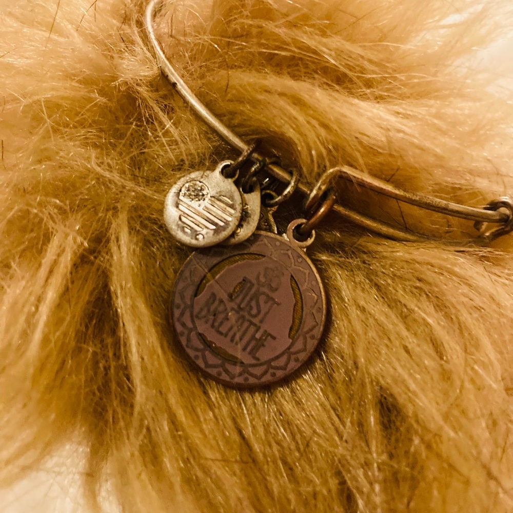 2017 Alex and Ani “Just Breathe” bangle